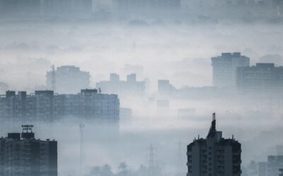 No smoke, without fire