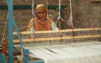 Embroidery-like weaving: Rajasthan’s Pattu