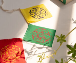 Tibetan Flags: Goodwill and Compassion for All