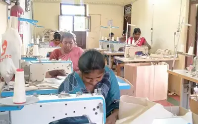 The return of the Manjappai